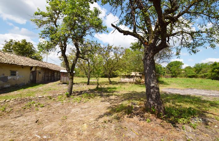 Image No.48-4 Bed House for sale