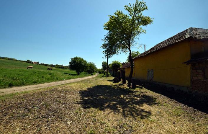 Image No.5-3 Bed House for sale