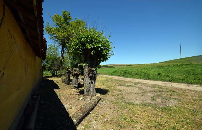 Image No.57-3 Bed House for sale