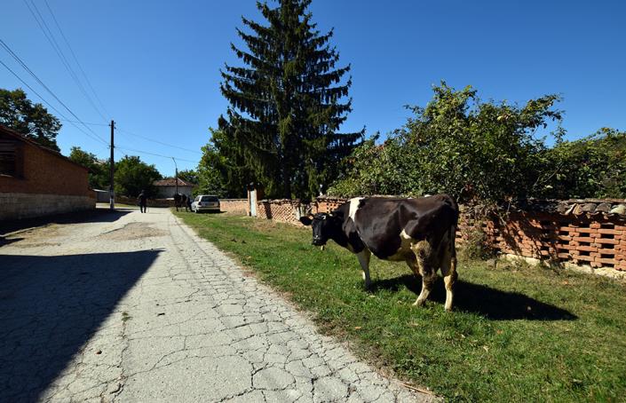 Image No.2-3 Bed House for sale