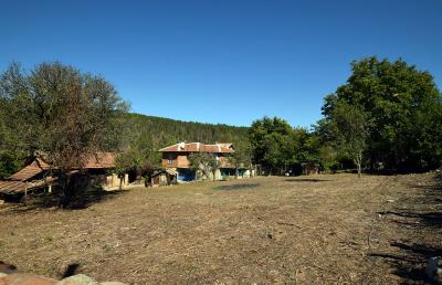 Pay-Monthly--Mowlem-Bulgaria--Pomen--XXVII--7