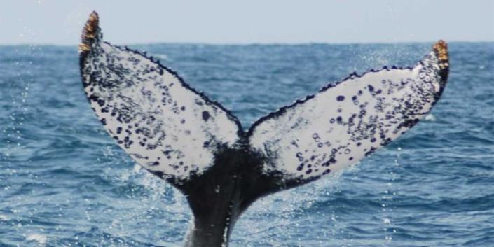 Image No.25-2 Bed Apartment for sale