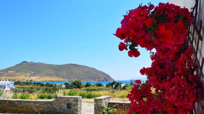 Image No.6-2 Bed House for sale