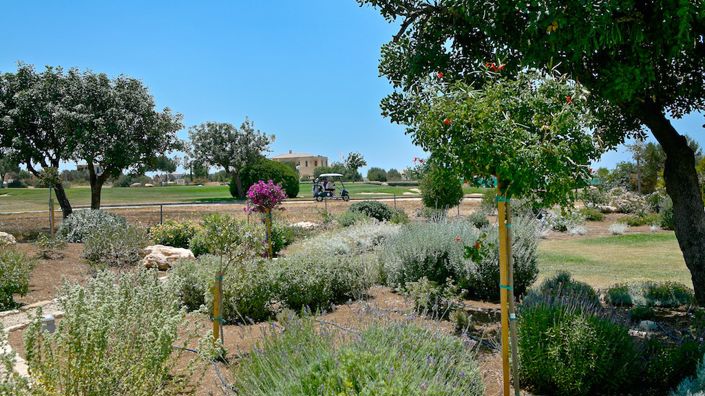 Image No.12-4 Bed Villa for sale