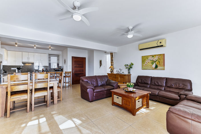 Image No.5-4 Bed Villa for sale