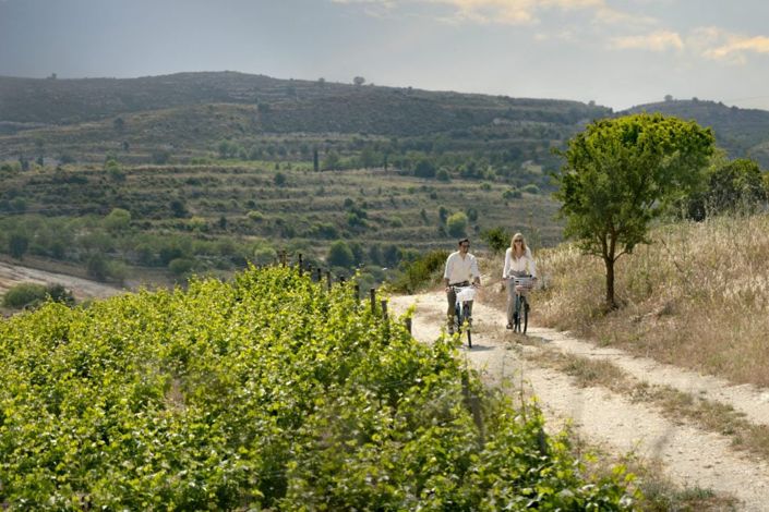 Image No.30-4 Bed Villa for sale