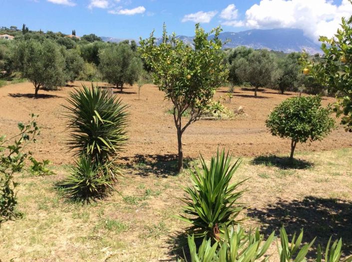 Image No.18-3 Bed Villa for sale