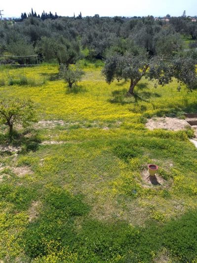 Image No.18-2 Bed Villa for sale