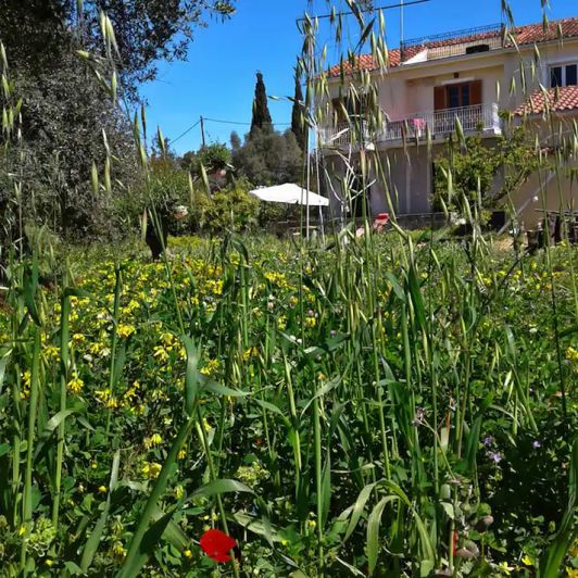 Image No.20-2 Bed Villa for sale