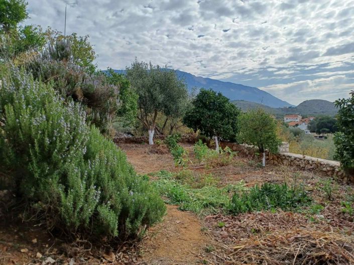 Image No.15-3 Bed House for sale