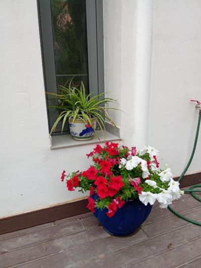 Image No.17-3 Bed Villa for sale