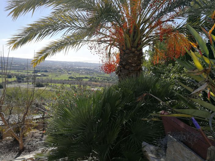 Image No.26-5 Bed Villa for sale