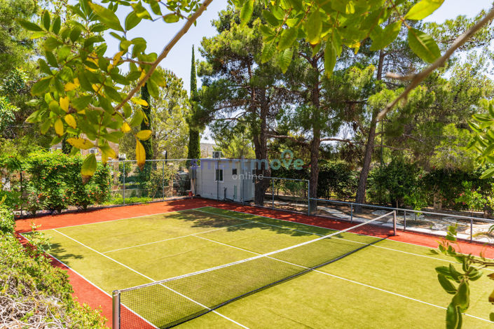 Image No.2-8 Bed Villa for sale