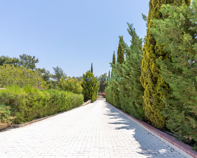 Image No.38-8 Bed Villa for sale