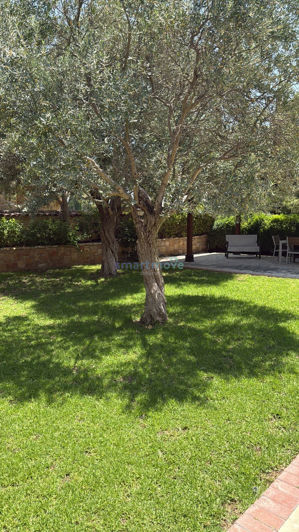 Image No.48-8 Bed Villa for sale