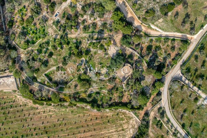 Image No.43-3 Bed Villa for sale