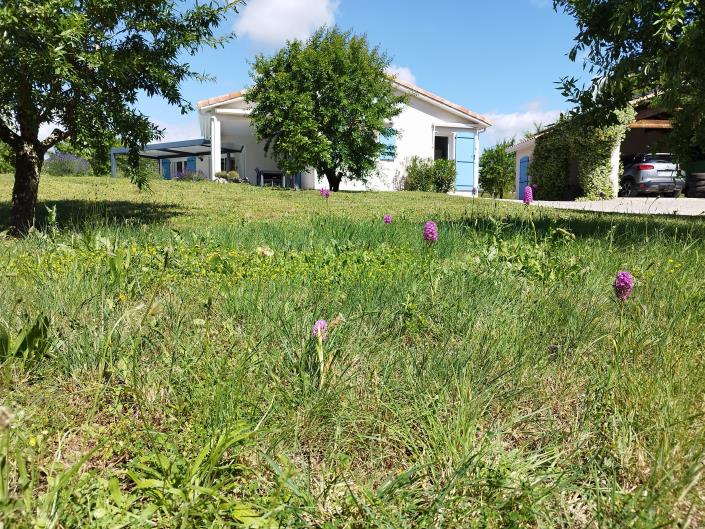 Image No.19-3 Bed House/Villa for sale