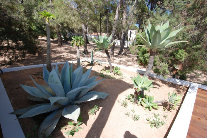 Image No.54-9 Bed Villa / Detached for sale