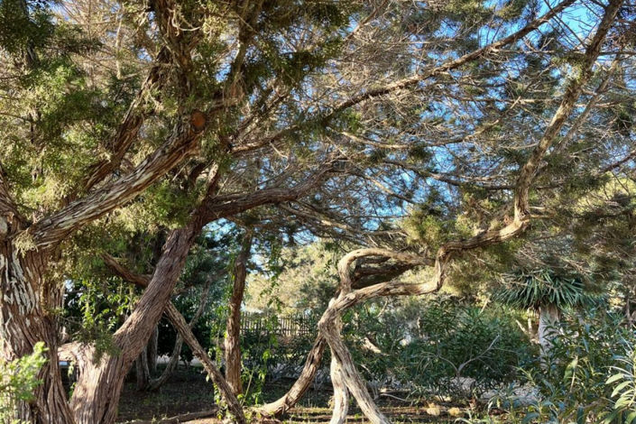 Image No.18-6 Bed Villa for sale