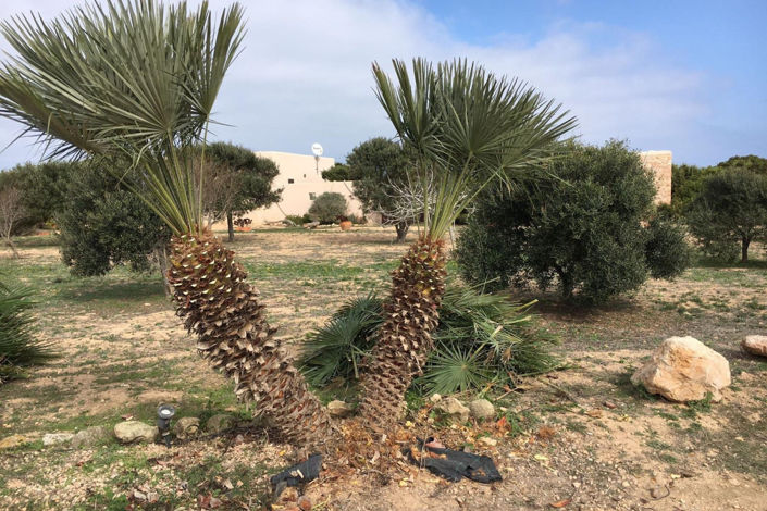 Image No.32-2 Bed Villa for sale