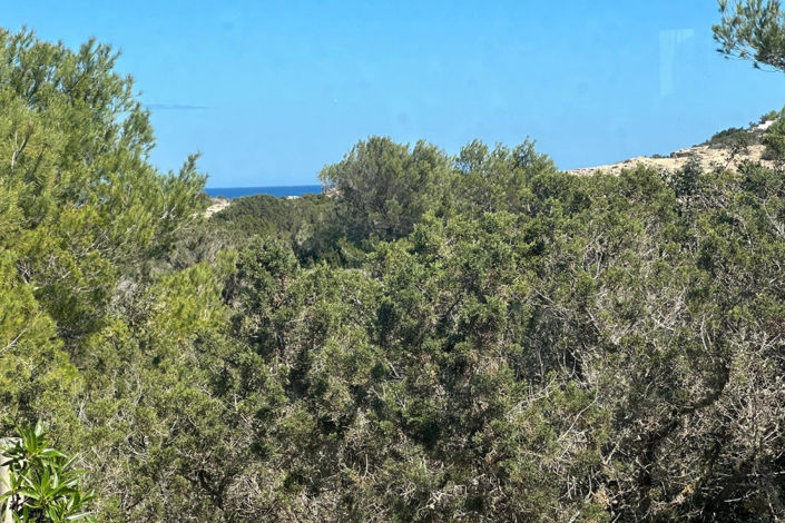 Image No.32-5 Bed Villa for sale