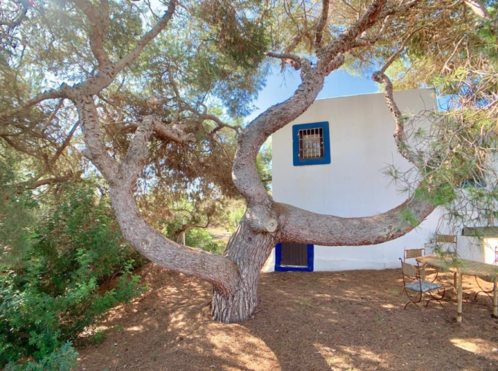 Image No.2-4 Bed Villa for sale