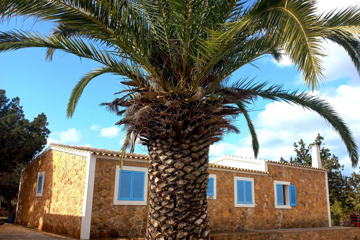 Image No.29-4 Bed Villa for sale