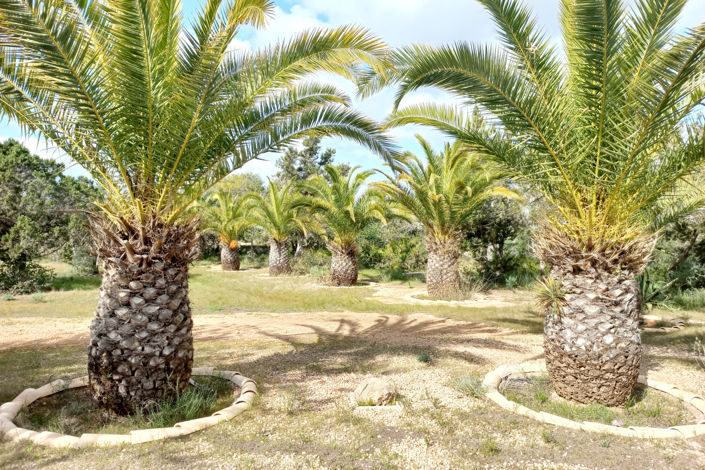 Image No.33-4 Bed Villa for sale