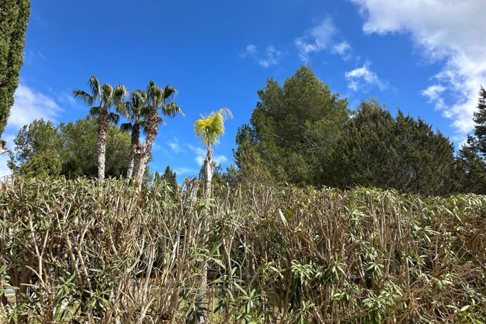 Image No.37-5 Bed Villa for sale