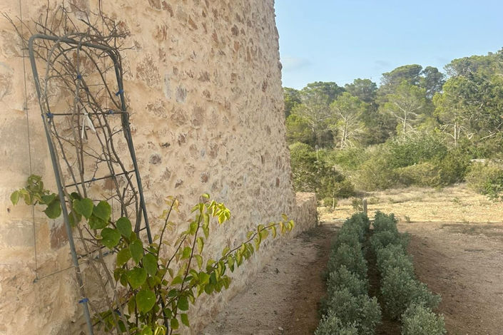 Image No.22-2 Bed Finca for sale