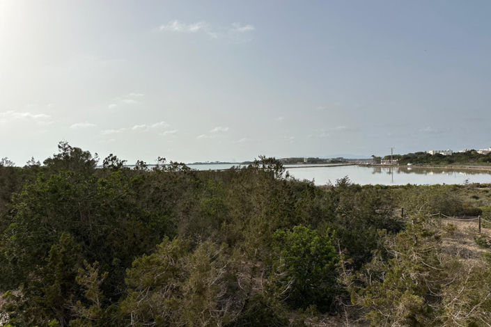 Image No.3-2 Bed Finca for sale