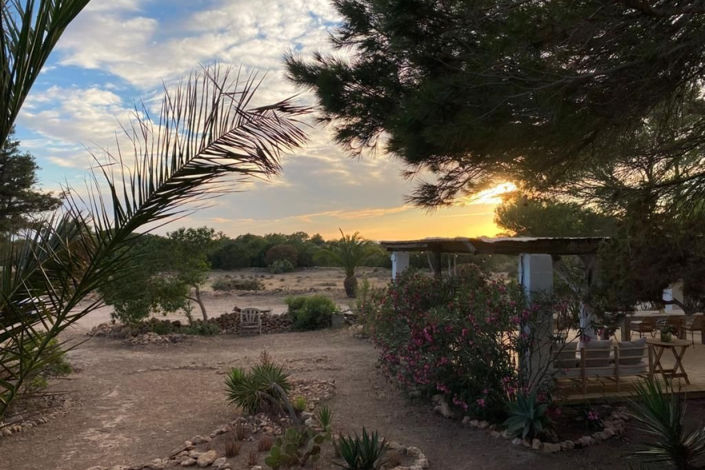 Image No.36-3 Bed Finca for sale