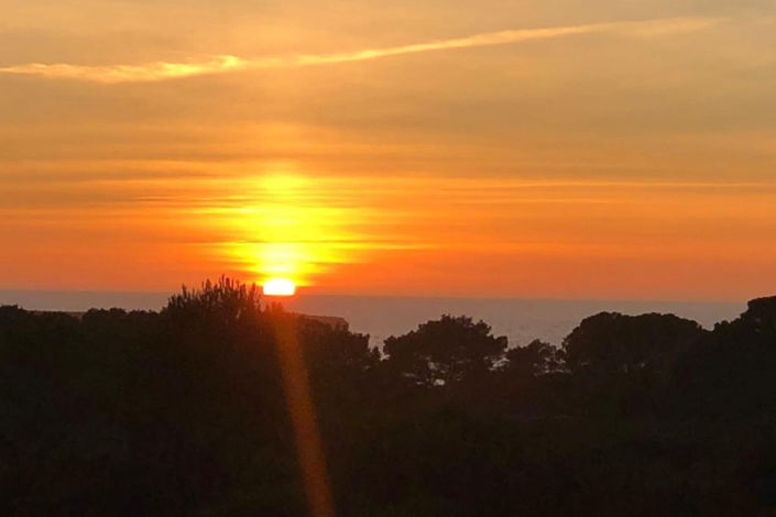 Image No.41-3 Bed Finca for sale