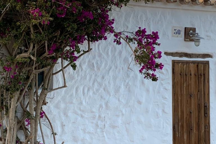 Image No.52-5 Bed Finca for sale