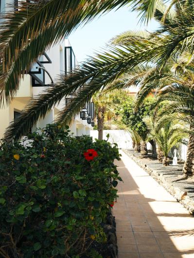 Image No.21-1 Bed Apartment for sale