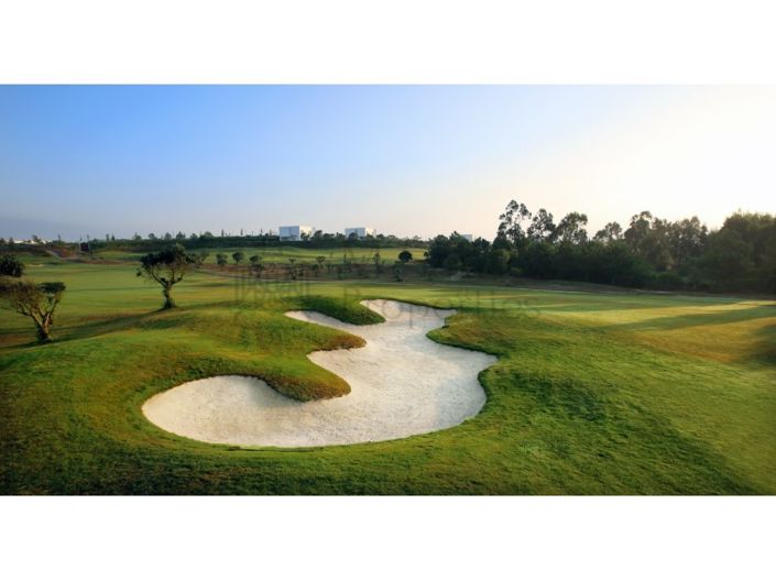 Image No.14-Plot for sale