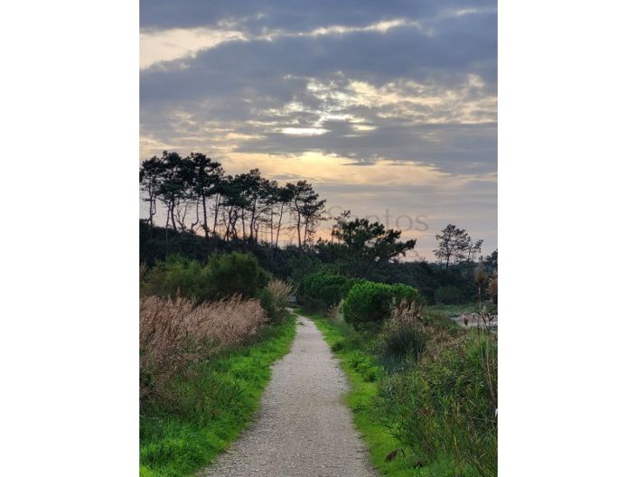 Image No.12-Plot for sale