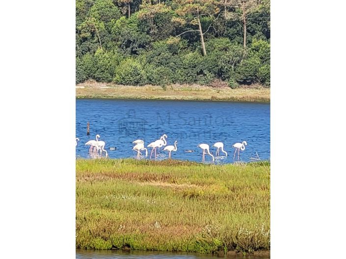 Image No.5-Plot for sale