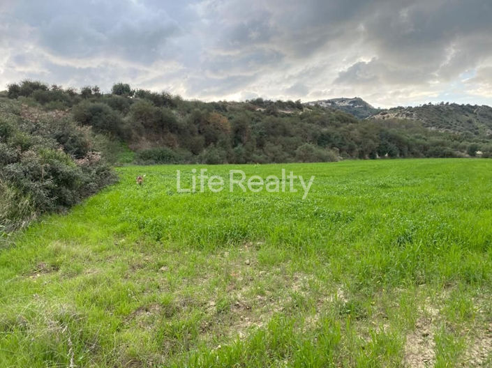 Image No.3-Land for sale