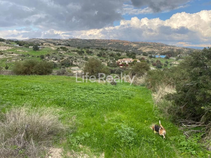 Image No.4-Land for sale