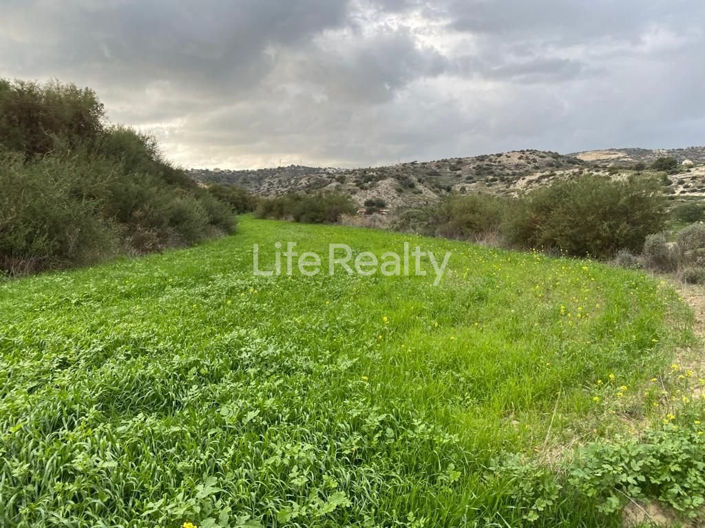 Image No.5-Land for sale