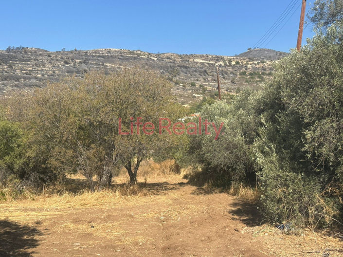 Image No.1-Land for sale