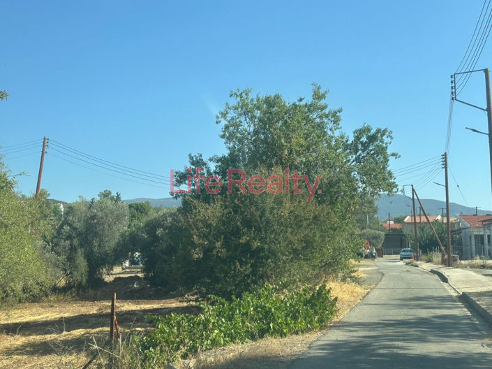 Image No.2-Land for sale