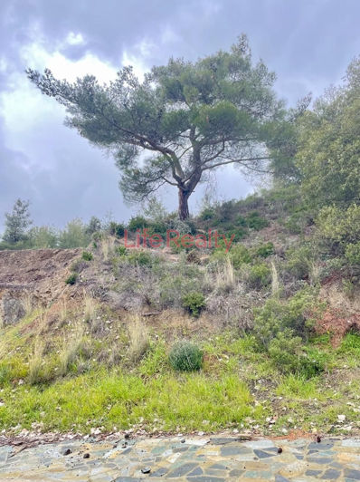 Image No.2-Plot for sale