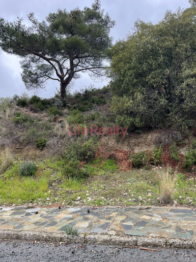 Image No.4-Plot for sale