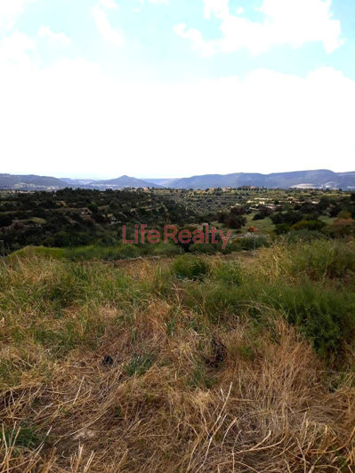 Image No.3-Land for sale