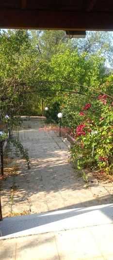 Image No.11-3 Bed House for sale