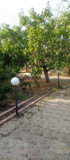 Image No.12-3 Bed House for sale