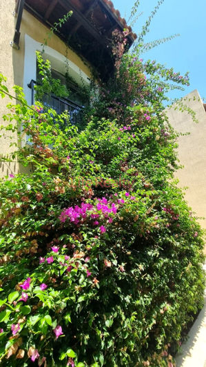 Image No.21-2 Bed Apartment for sale