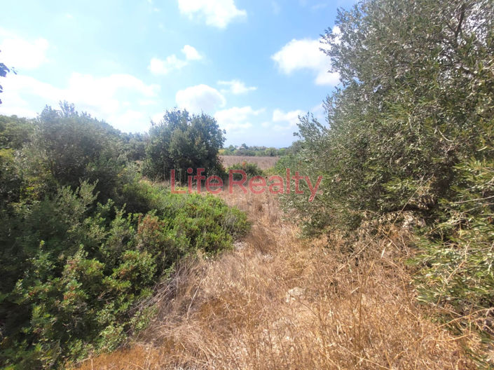 Image No.1-Land for sale